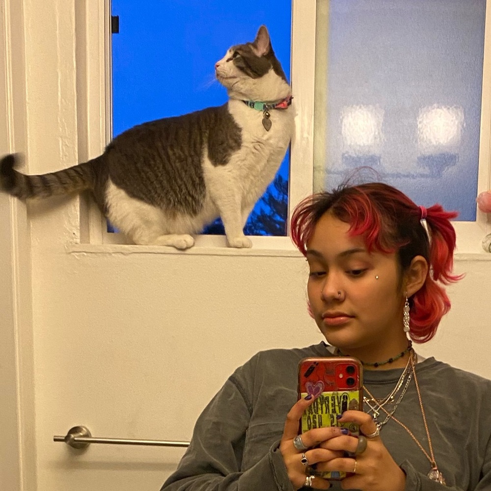 Meet your Posher, Cristina